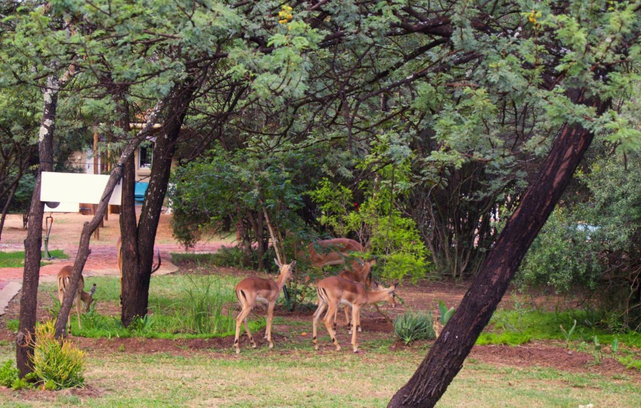 Suzie'S Loft - Nude - Suneden Family Naturist Resort Pretoria Exterior photo